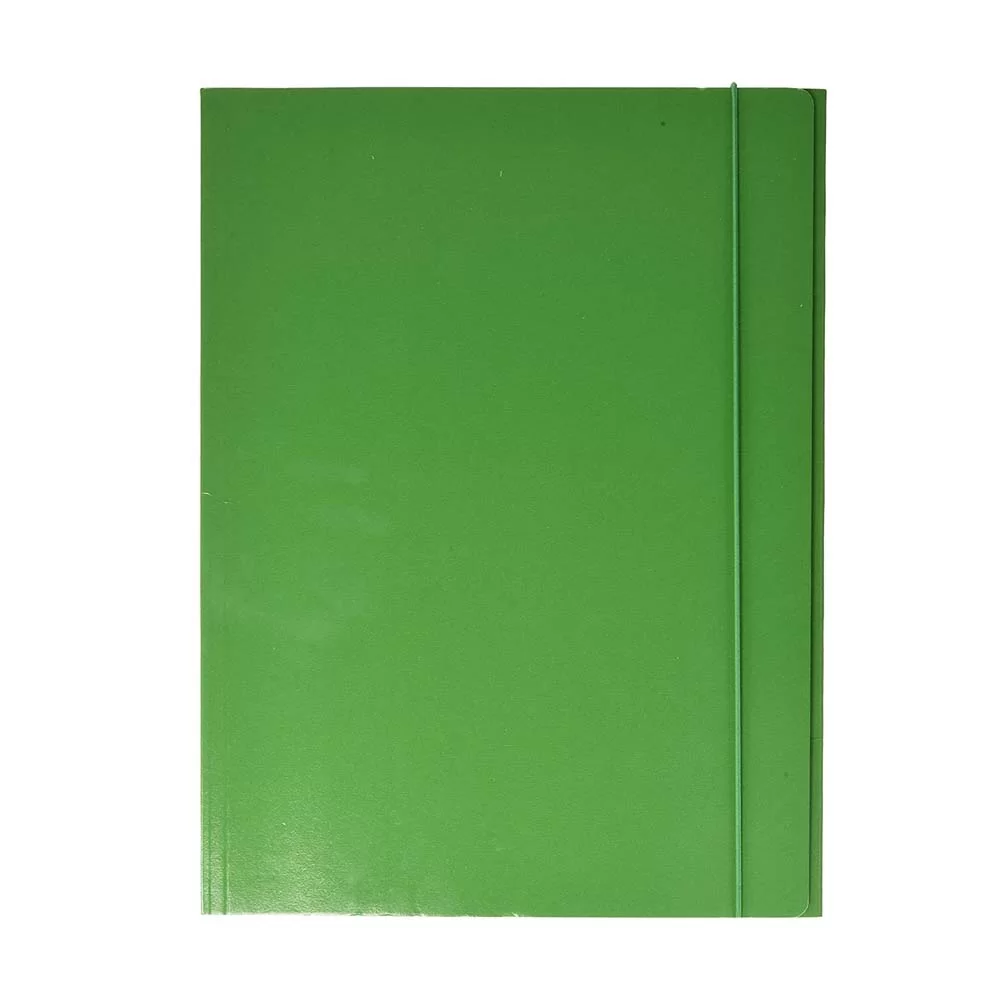 ESSELTE - 55136 - 25 cartelline 3 lembi 25x35cm verde cartoncino